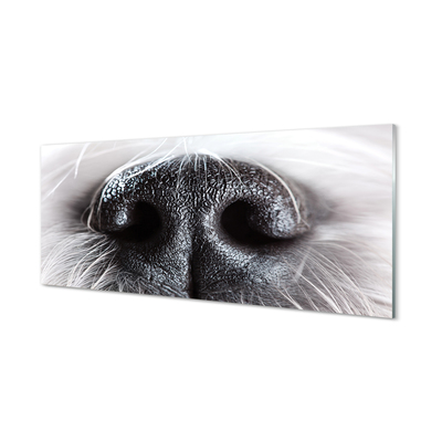 Obraz akrylowy Nos psa