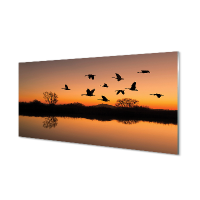 Obraz akrylowy Lecące ptaki zachód słońca