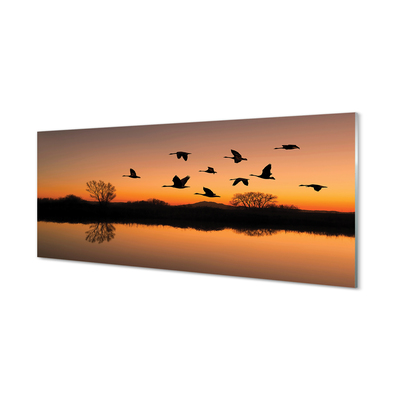 Obraz akrylowy Lecące ptaki zachód słońca