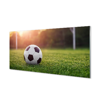 Obraz akrylowy Piłka trawa bramka