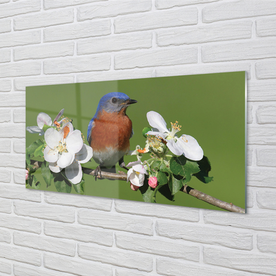 Obraz akrylowy Kwiaty kolorowa papuga
