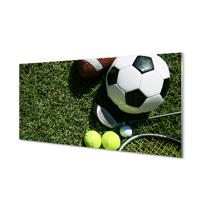 Obraz akrylowy Piłki paletka trawa