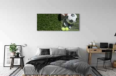 Obraz akrylowy Piłki paletka trawa