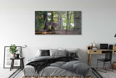Obraz akrylowy Las jeleń
