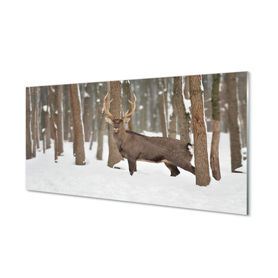 Obraz akrylowy Jeleń zima las