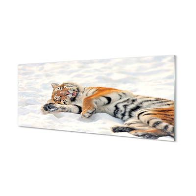 Obraz akrylowy Tygrys zima śnieg