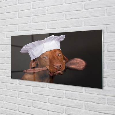 Obraz akrylowy Pies kucharz