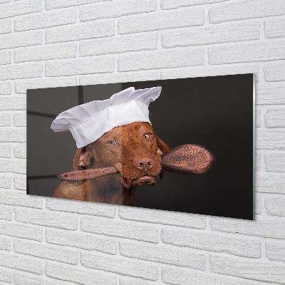 Obraz akrylowy Pies kucharz