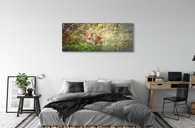 Obraz akrylowy Pies las kwiaty