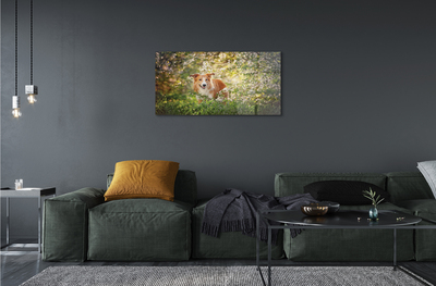Obraz akrylowy Pies las kwiaty