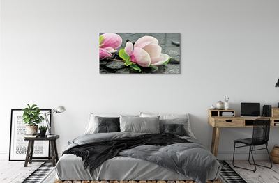 Obraz akrylowy Magnolia kamienie