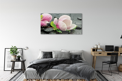 Obraz akrylowy Magnolia kamienie