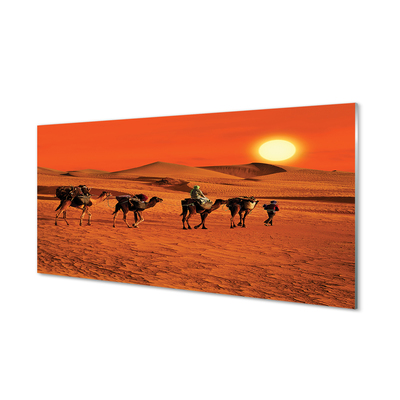 Obraz akrylowy Wielbłądy ludzie pustynia słońce niebo