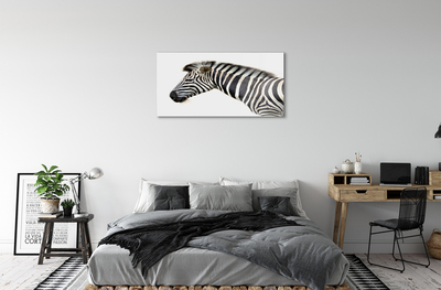 Obraz akrylowy Zebra