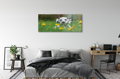 Obraz akrylowy Łąka pies