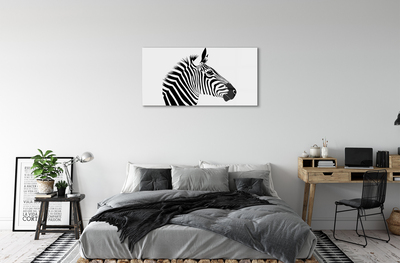 Obraz akrylowy Ilustracja zebry