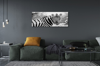 Obraz akrylowy Retro zebra