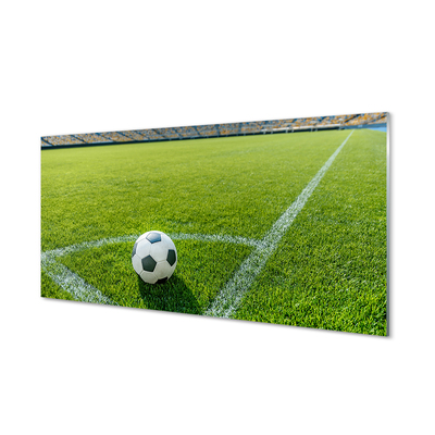 Obraz akrylowy Stadion piłka trawa