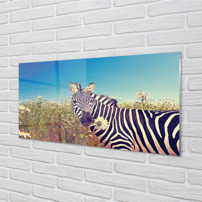 Obraz akrylowy Zebra kwiaty