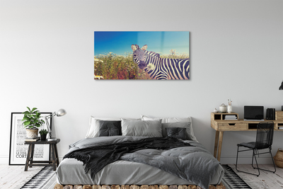 Obraz akrylowy Zebra kwiaty