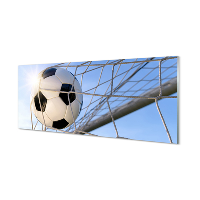 Obraz akrylowy Piłka siatka niebo