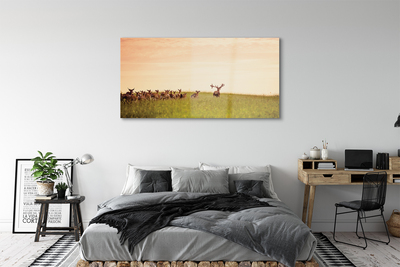 Obraz akrylowy Stado jeleni pole wschód słońca