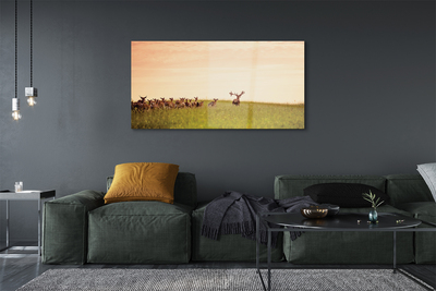 Obraz akrylowy Stado jeleni pole wschód słońca