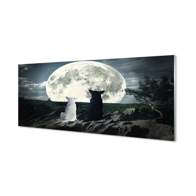Obraz akrylowy Wilki księżyc las