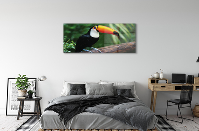 Obraz akrylowy Tukan na gałęzi