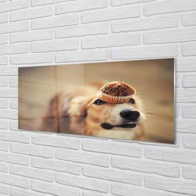 Obraz akrylowy Pies babeczka