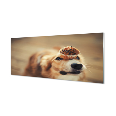 Obraz akrylowy Pies babeczka