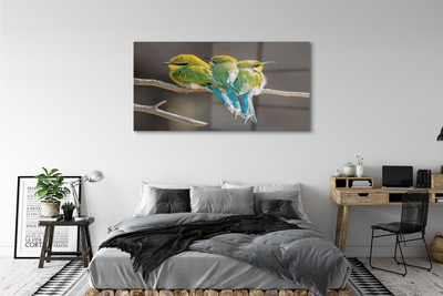 Obraz akrylowy Ptaki na gałęzi