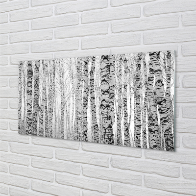 Obraz akrylowy Czarno-białe brzozy
