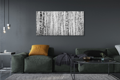 Obraz akrylowy Czarno-białe brzozy