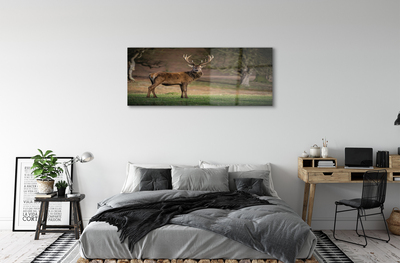 Obraz akrylowy Jeleń na polu