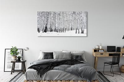 Obraz akrylowy Drzewa zima śnieg brzozy