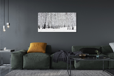 Obraz akrylowy Drzewa zima śnieg brzozy