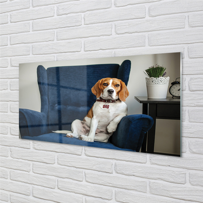 Obraz akrylowy Siedzący pies