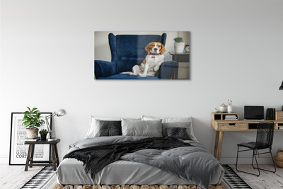 Obraz akrylowy Siedzący pies