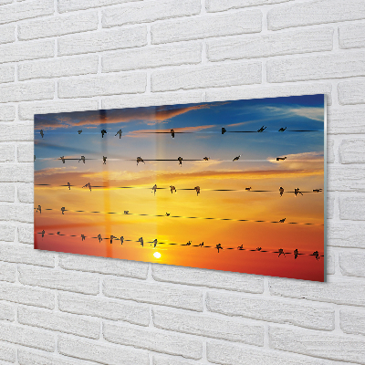Obraz akrylowy Ptaki na linach zachód słońca