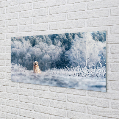 Obraz akrylowy Pies góry zima