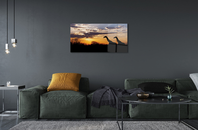 Obraz akrylowy Żyrafy drzewa chmury