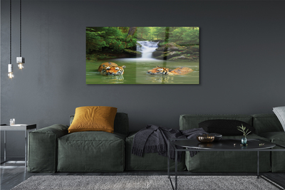 Obraz akrylowy Wodospad tygrysy