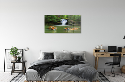 Obraz akrylowy Wodospad tygrysy