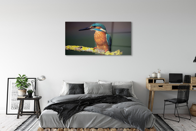 Obraz akrylowy Kolorowy ptak na gałęzi