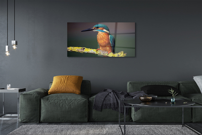 Obraz akrylowy Kolorowy ptak na gałęzi