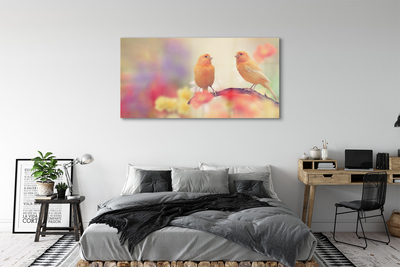 Obraz akrylowy Kolorowe papugi