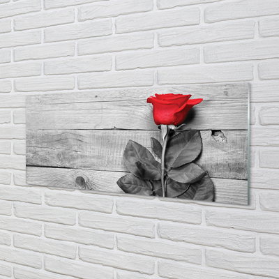 Obraz akrylowy Róża