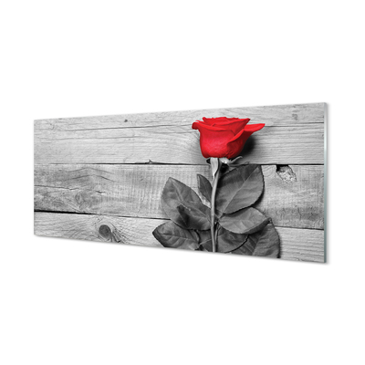 Obraz akrylowy Róża