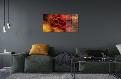 Obraz akrylowy Róża obraz